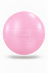 JOINMELI Pilates & Egzersiz Topu — 55 cm